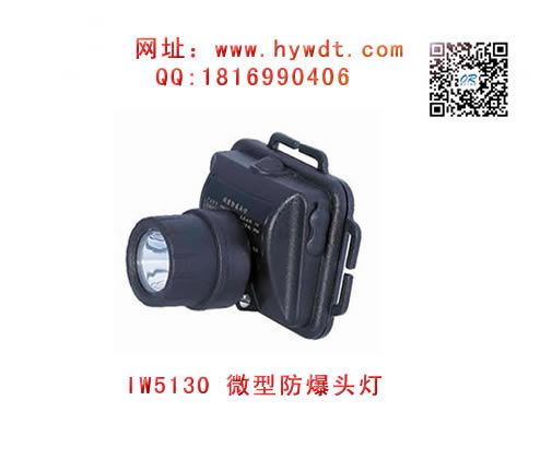 ���庣����IW5130/LT΢�ͷ���ͷ��(�������