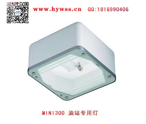 �㽭���庣����MINI300��վר�õ�